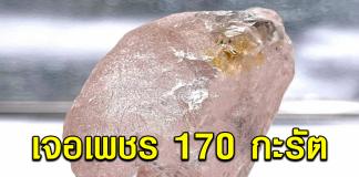 คนงานเหมืองขุดพบ เพชรสีชมพู 170 กะรัต ใหญ่ที่สุดในรอบ 300 ปี